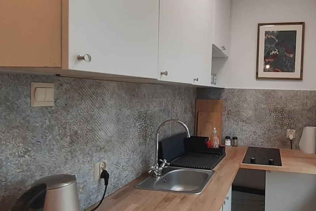 Lemuria Apartament Szkolna Centrum Legnica Exteriör bild