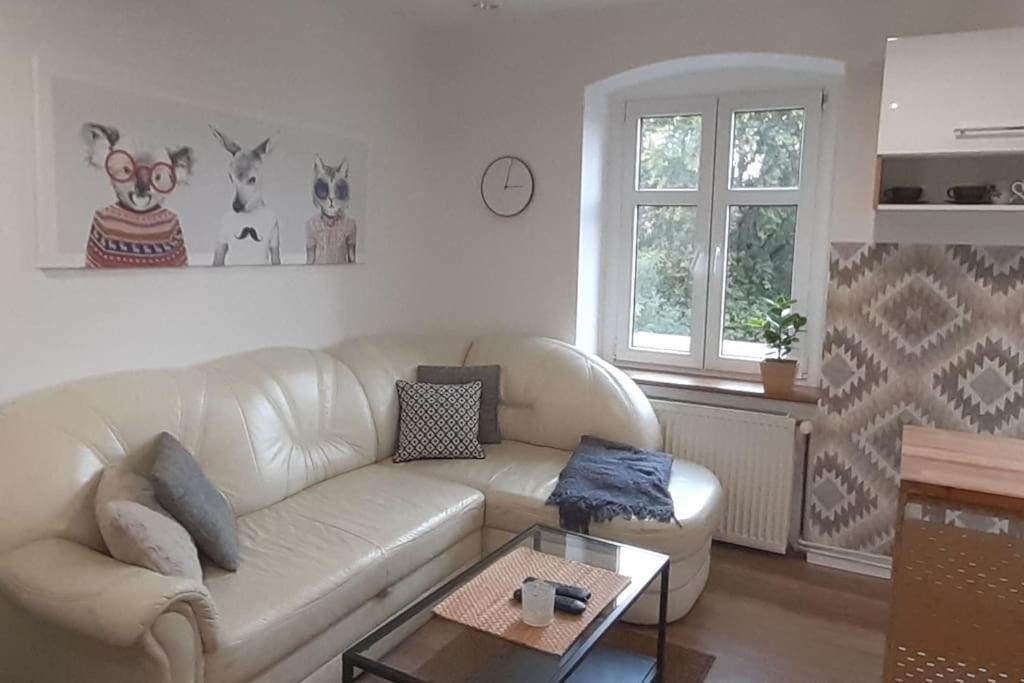 Lemuria Apartament Szkolna Centrum Legnica Exteriör bild