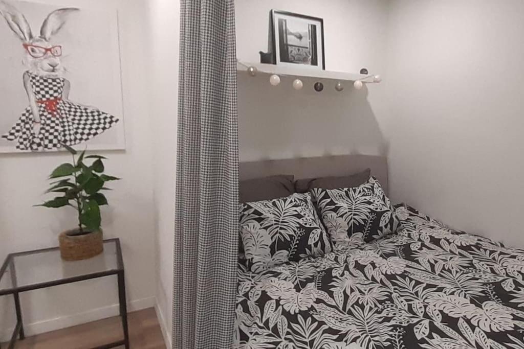 Lemuria Apartament Szkolna Centrum Legnica Exteriör bild