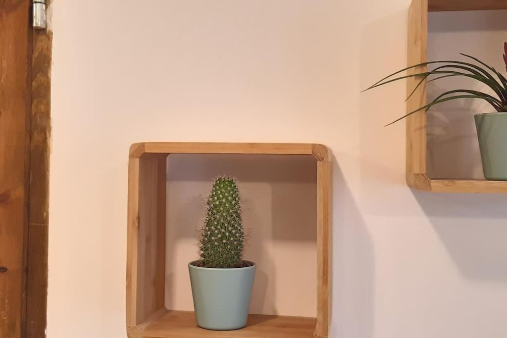Lemuria Apartament Szkolna Centrum Legnica Exteriör bild